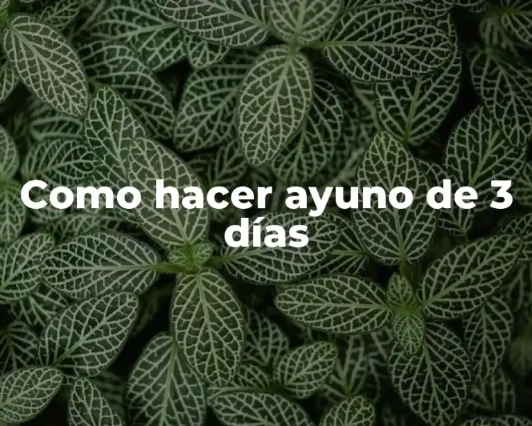 Como hacer ayuno de 3 días