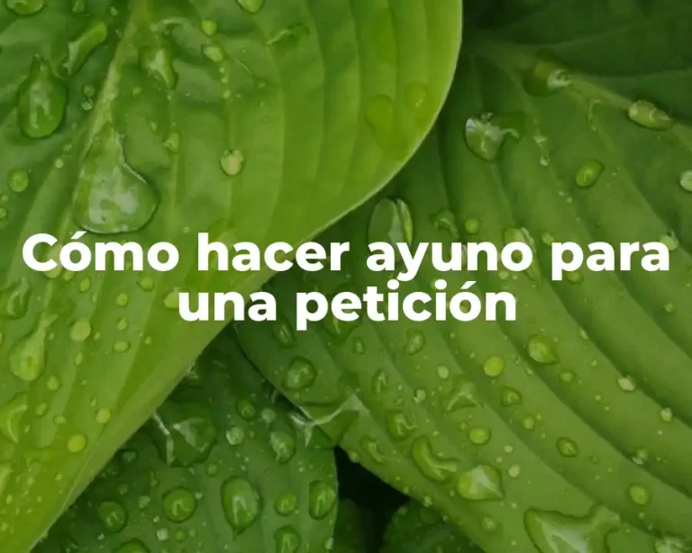 Cómo hacer ayuno para una petición