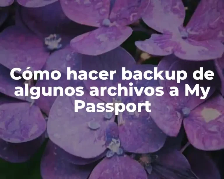Cómo hacer backup de algunos archivos a My Passport