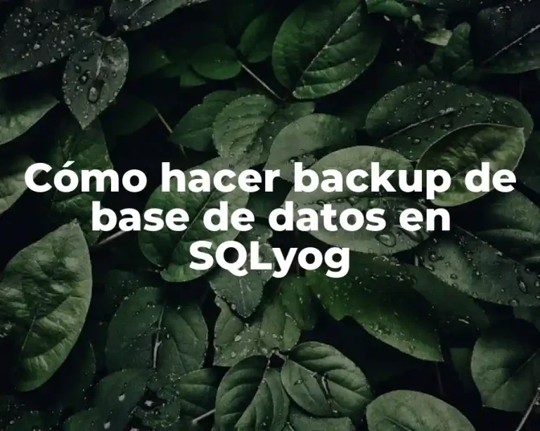 Cómo hacer backup de base de datos en SQLyog