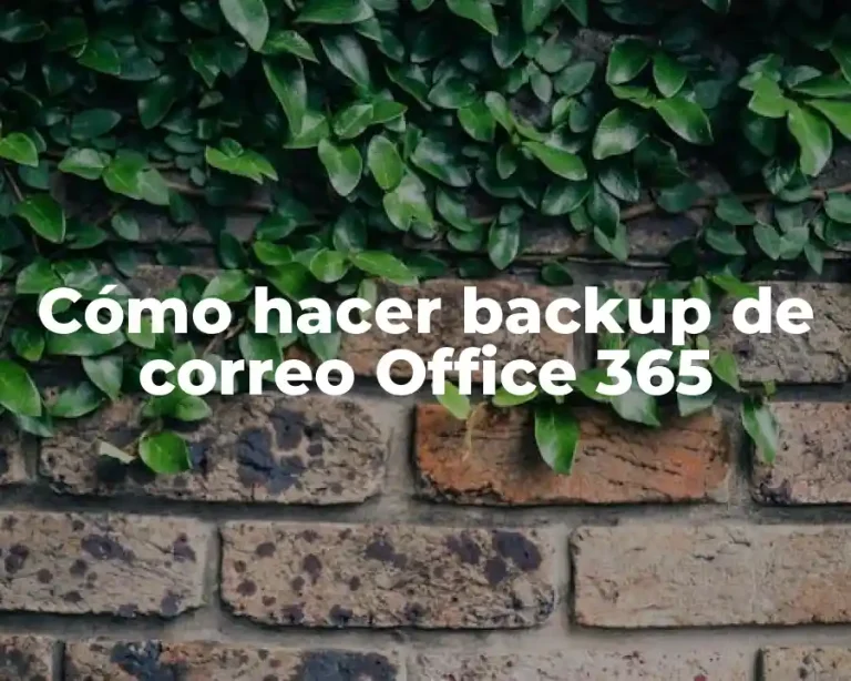 Cómo hacer backup de correo Office 365