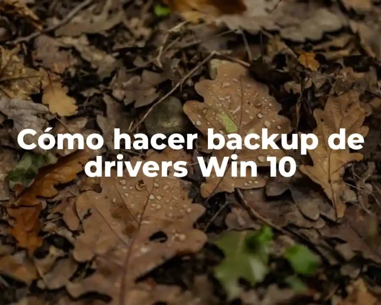 Cómo hacer backup de drivers Win 10