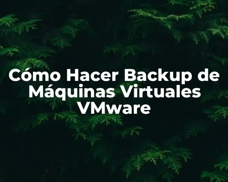 Cómo Hacer Backup de Máquinas Virtuales VMware