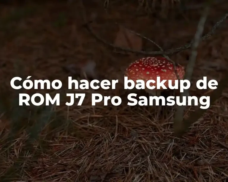 Cómo hacer backup de ROM J7 Pro Samsung
