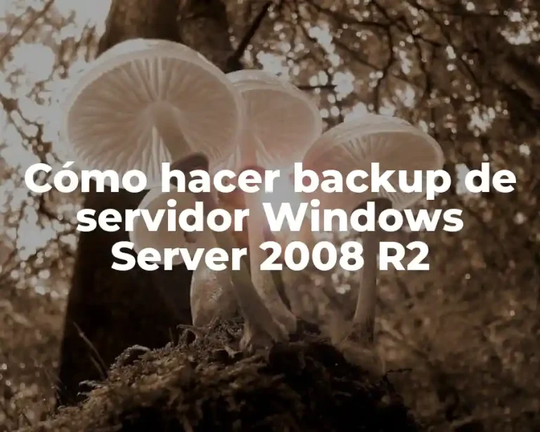 Cómo hacer backup de servidor Windows Server 2008 R2