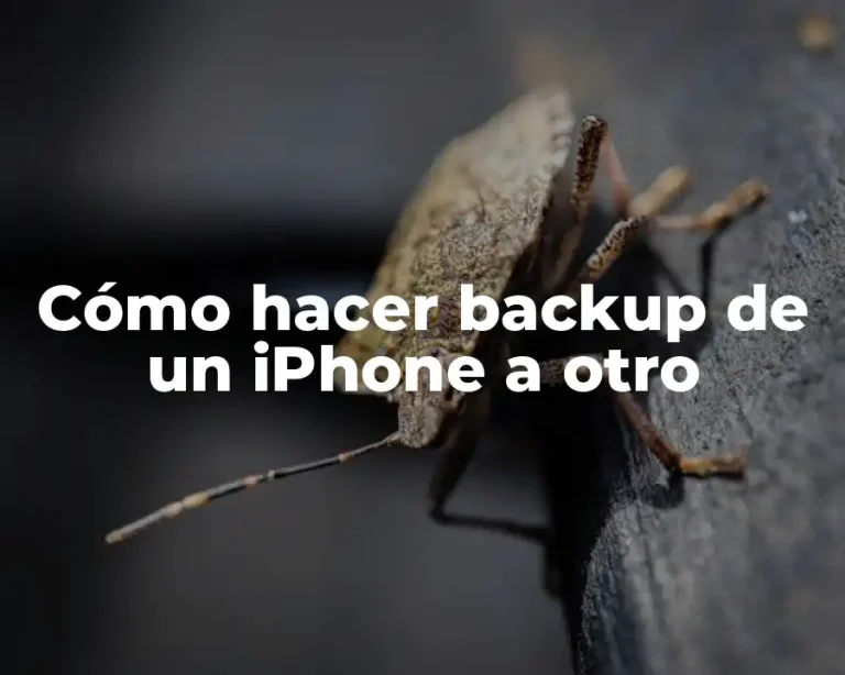 Cómo hacer backup de un iPhone a otro