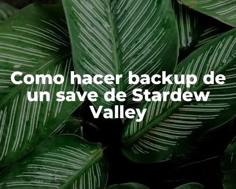 Como hacer backup de un save de Stardew Valley
