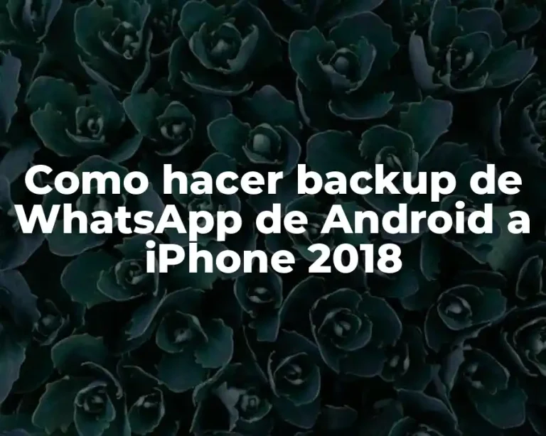 Como hacer backup de WhatsApp de Android a iPhone 2018