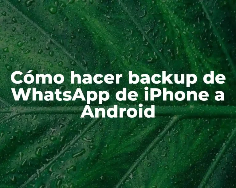 Cómo hacer backup de WhatsApp de iPhone a Android