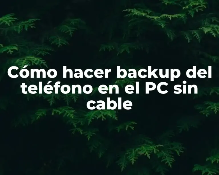 Cómo hacer backup del teléfono en el PC sin cable