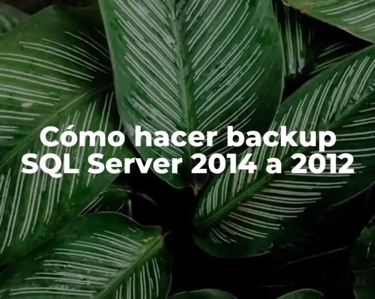 Cómo hacer backup SQL Server 2014 a 2012