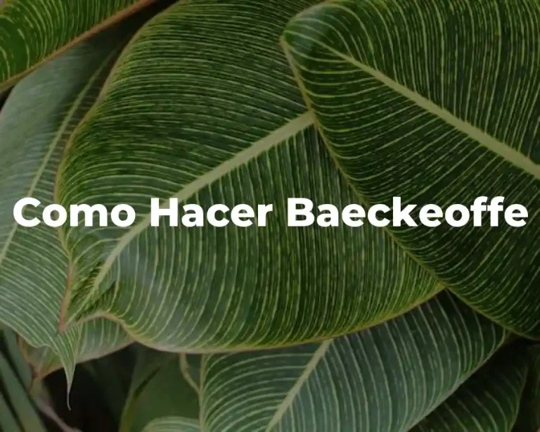 Como Hacer Baeckeoffe