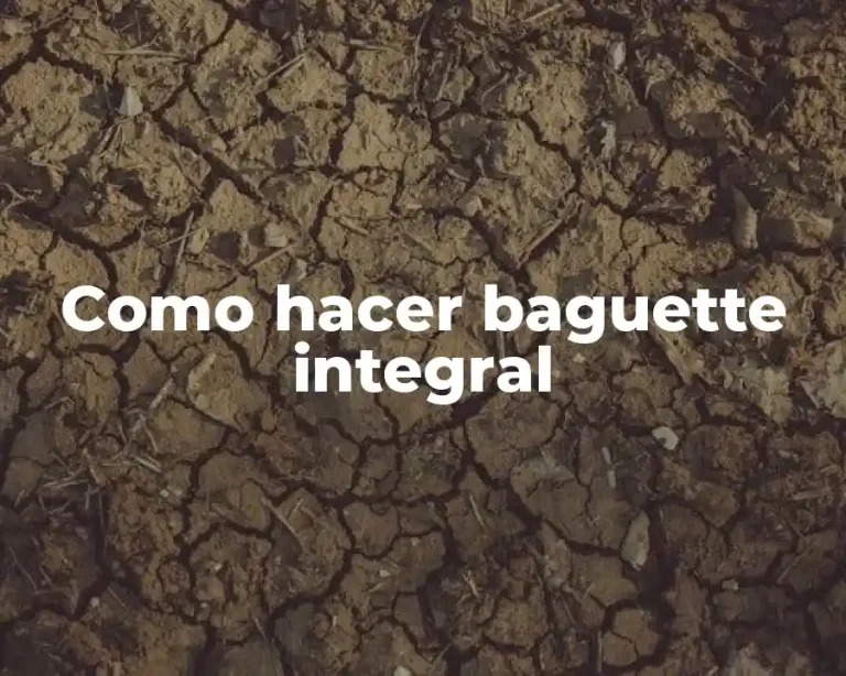 Como hacer baguette integral