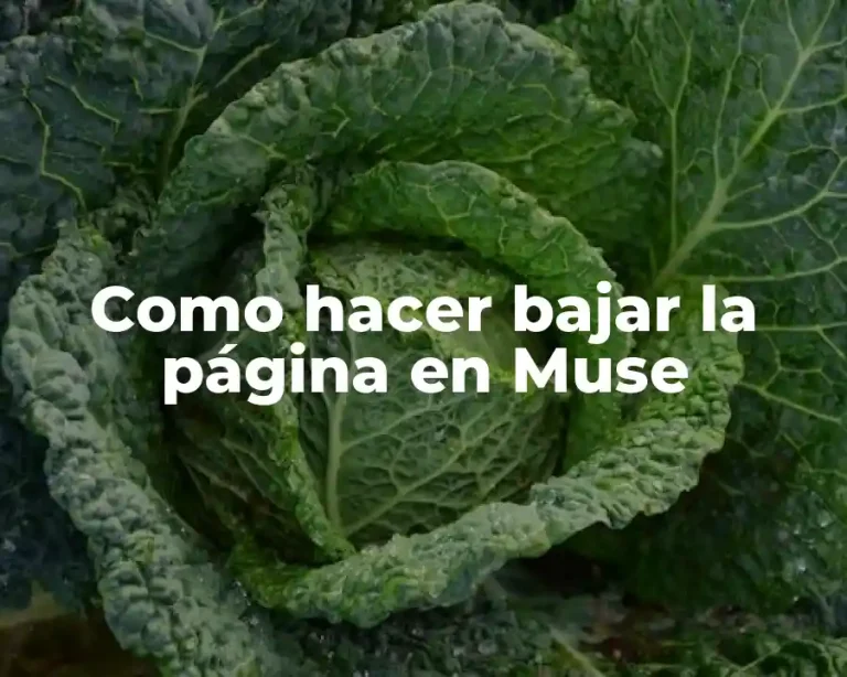 Como hacer bajar la página en Muse