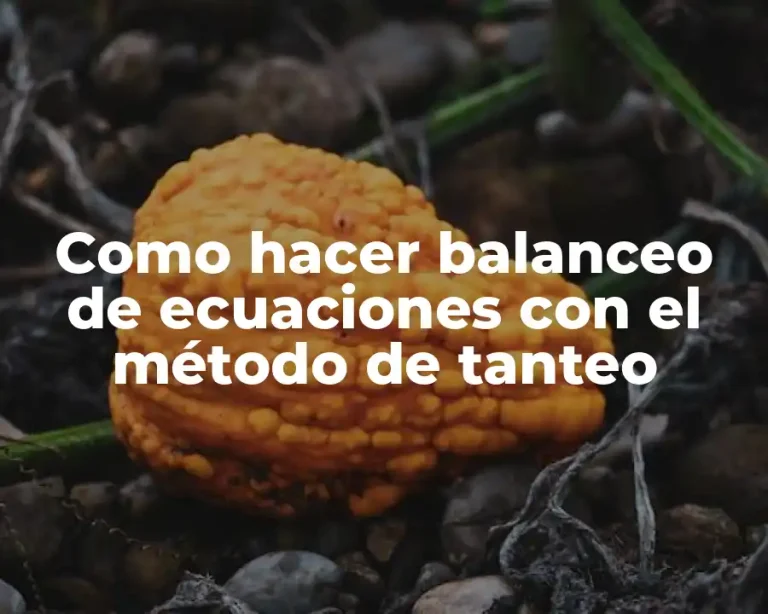 Como hacer balanceo de ecuaciones con el método de tanteo