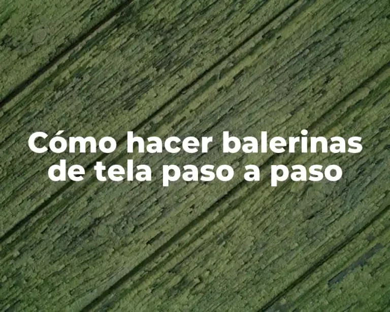 Cómo hacer balerinas de tela paso a paso