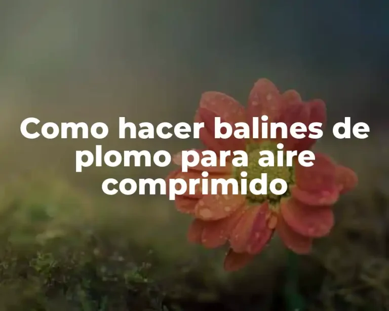 Como hacer balines de plomo para aire comprimido