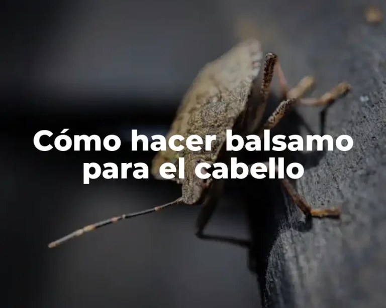 Cómo hacer balsamo para el cabello