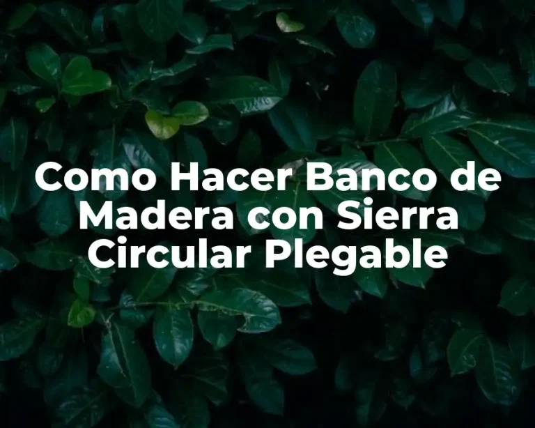 Como Hacer Banco de Madera con Sierra Circular Plegable