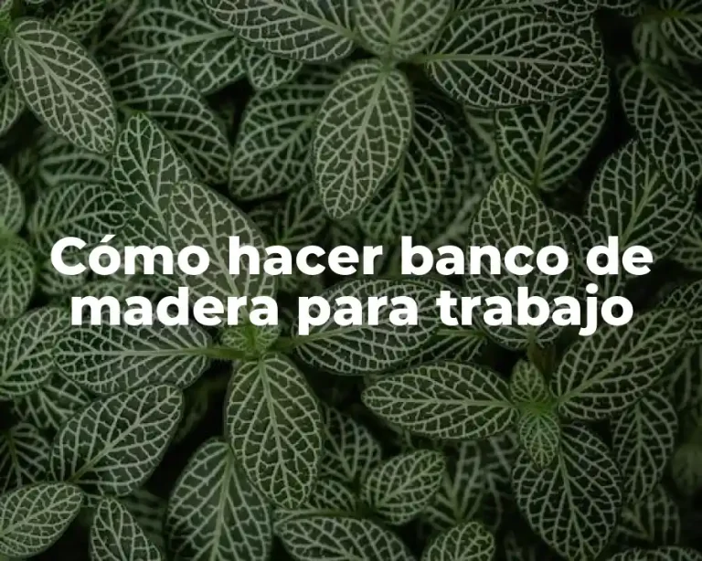 Cómo hacer banco de madera para trabajo