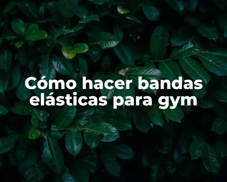 Cómo hacer bandas elásticas para gym