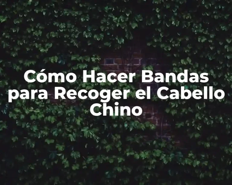 Cómo Hacer Bandas para Recoger el Cabello Chino