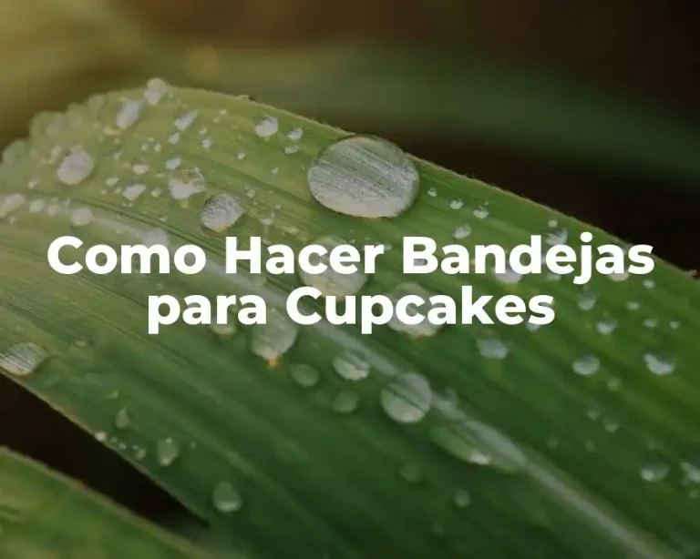 Como Hacer Bandejas para Cupcakes