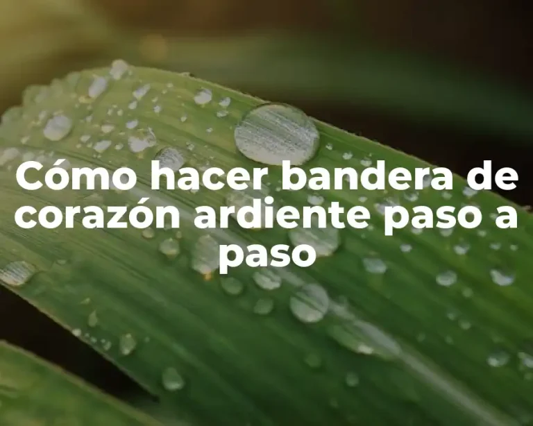Cómo hacer bandera de corazón ardiente paso a paso