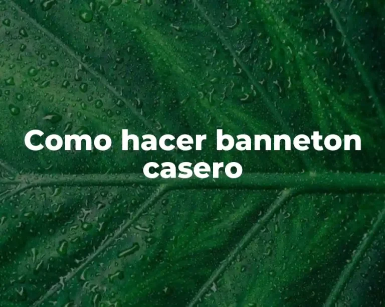 Como hacer banneton casero