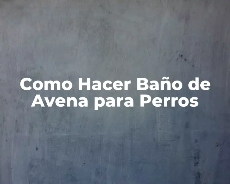 Como Hacer Baño de Avena para Perros
