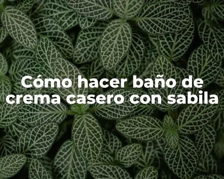 Cómo hacer baño de crema casero con sabila
