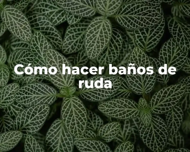 Cómo hacer baños de ruda