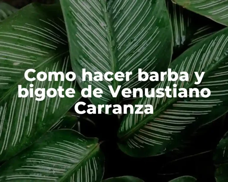Como hacer barba y bigote de Venustiano Carranza