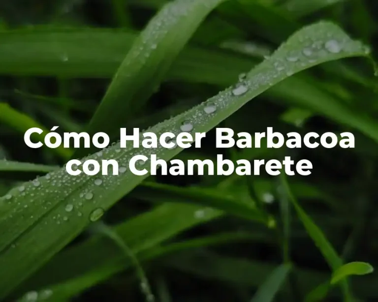 Cómo Hacer Barbacoa con Chambarete