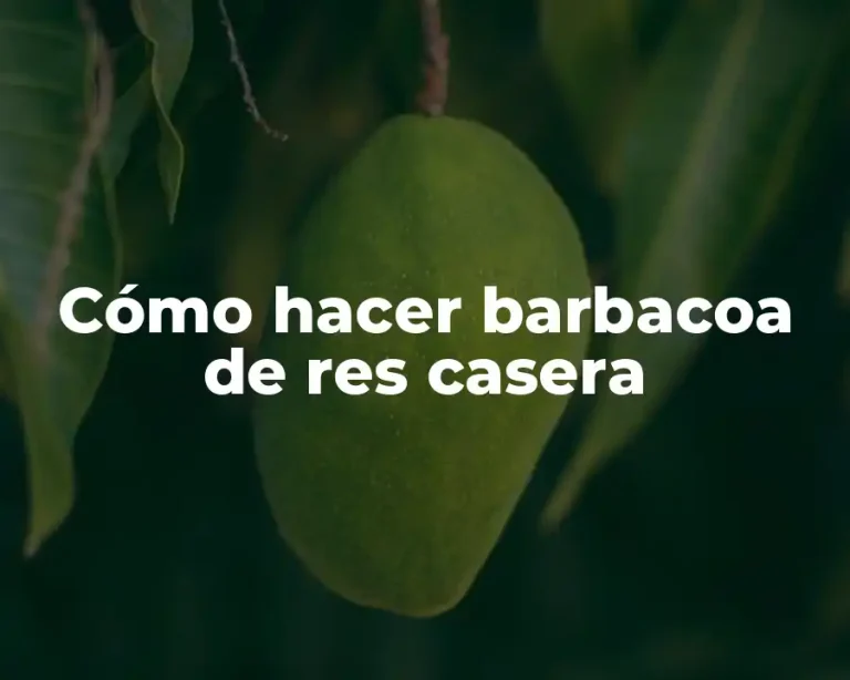 Cómo hacer barbacoa de res casera