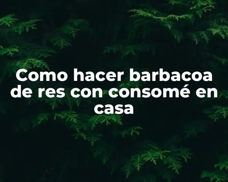 Como hacer barbacoa de res con consomé en casa