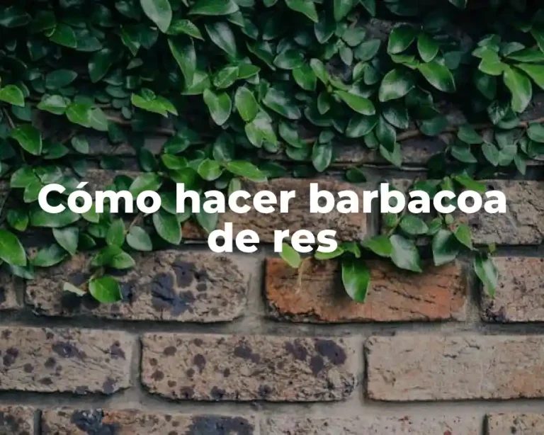 Cómo hacer barbacoa de res