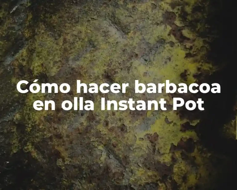 Cómo hacer barbacoa en olla Instant Pot