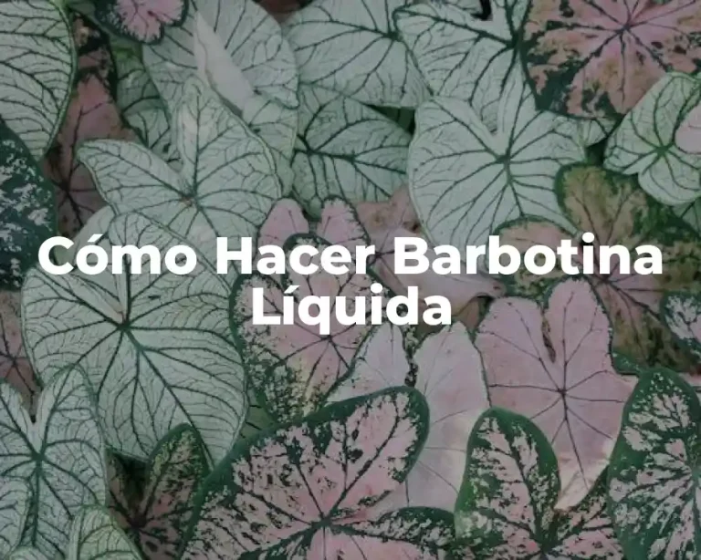 Cómo Hacer Barbotina Líquida
