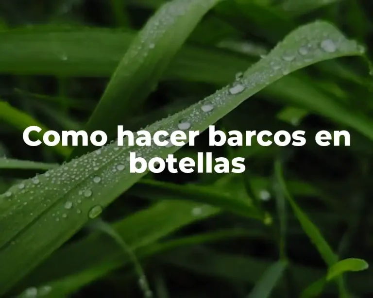 Como hacer barcos en botellas