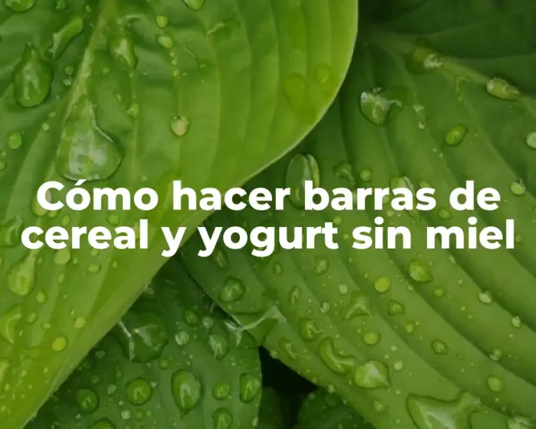 Cómo hacer barras de cereal y yogurt sin miel