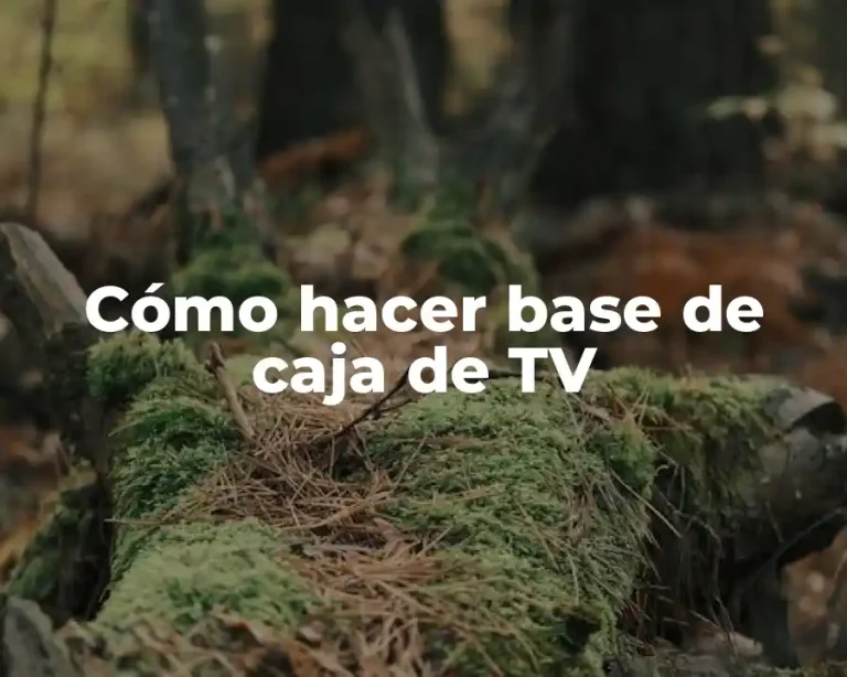 Cómo hacer base de caja de TV