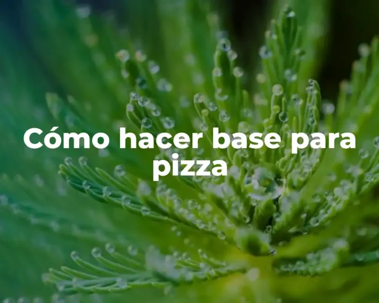 Cómo hacer base para pizza