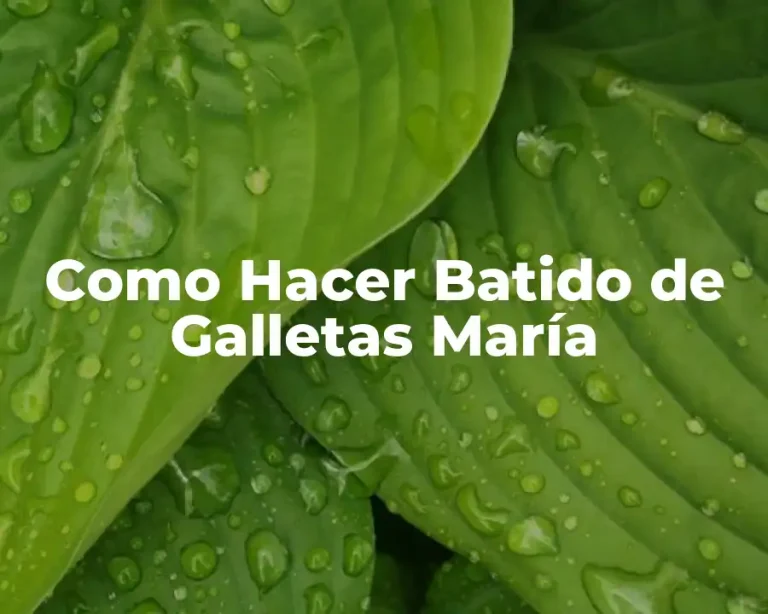 Como Hacer Batido de Galletas María