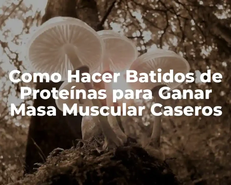 Como Hacer Batidos de Proteínas para Ganar Masa Muscular Caseros