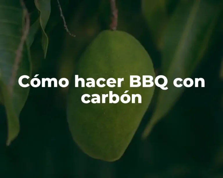 Cómo hacer BBQ con carbón