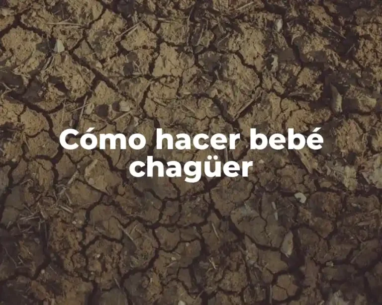 Cómo hacer bebé chagüer