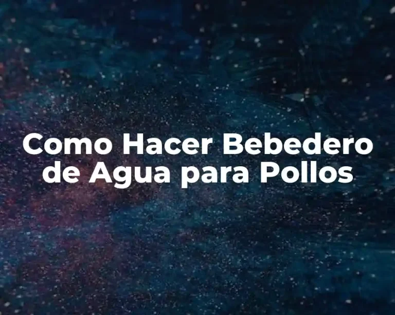 Como Hacer Bebedero de Agua para Pollos