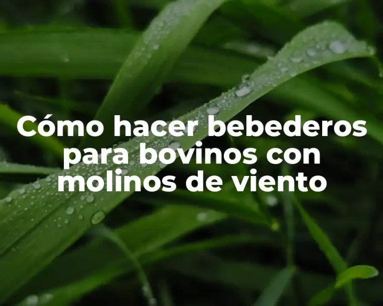 Cómo hacer bebederos para bovinos con molinos de viento