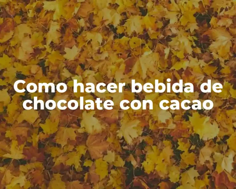 Como hacer bebida de chocolate con cacao
